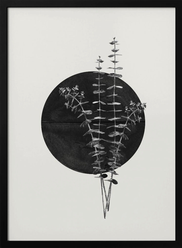 Eucalyptus Moon | Poster