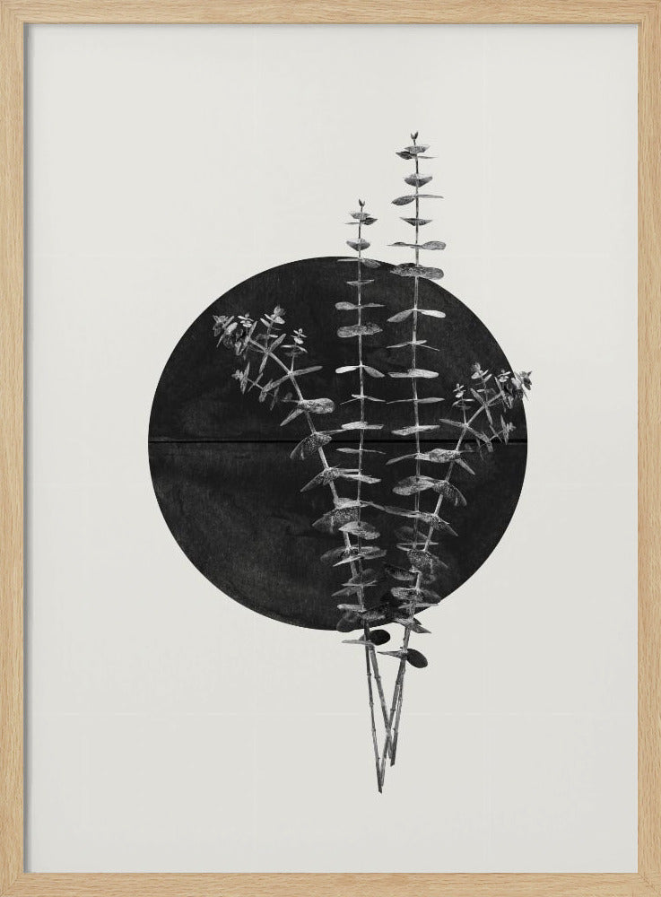 Eucalyptus Moon | Poster