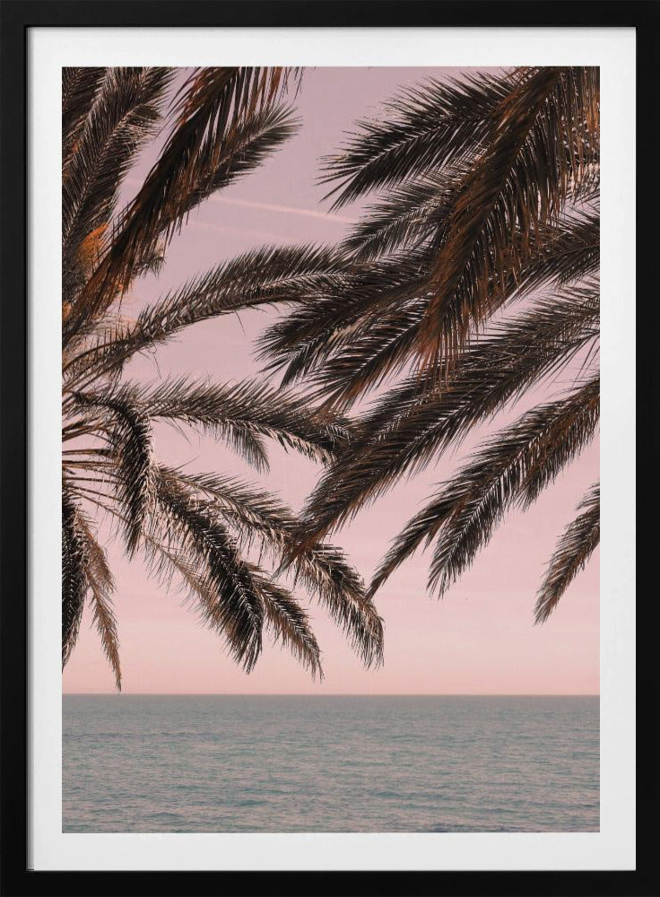 Palm_011 | Poster