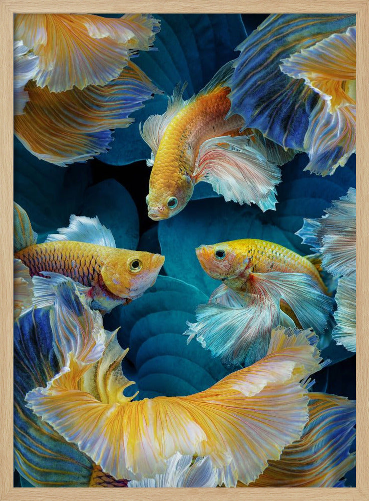 ColorFish | Poster