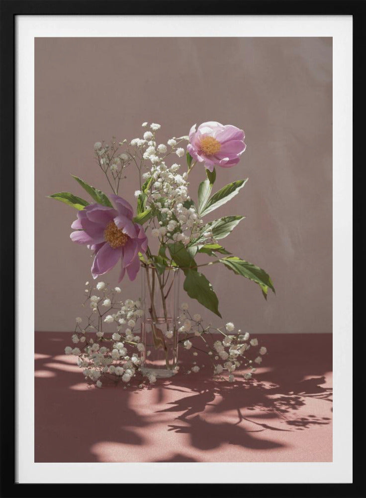 Light &amp; shadow | Poster