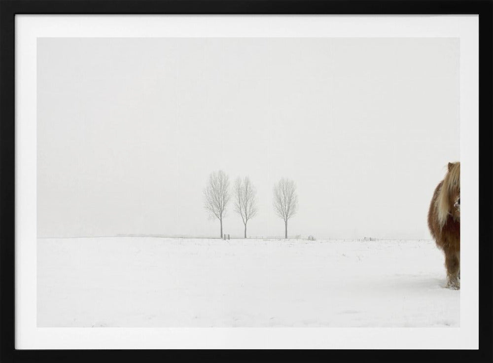 The cold pony | Poster