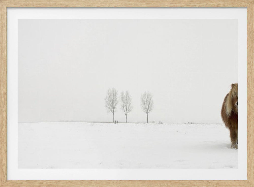 The cold pony | Poster