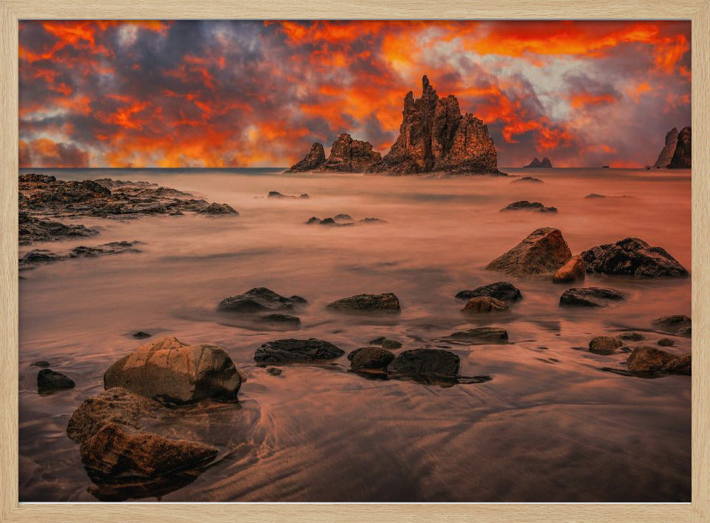 Canary Sunset | Poster