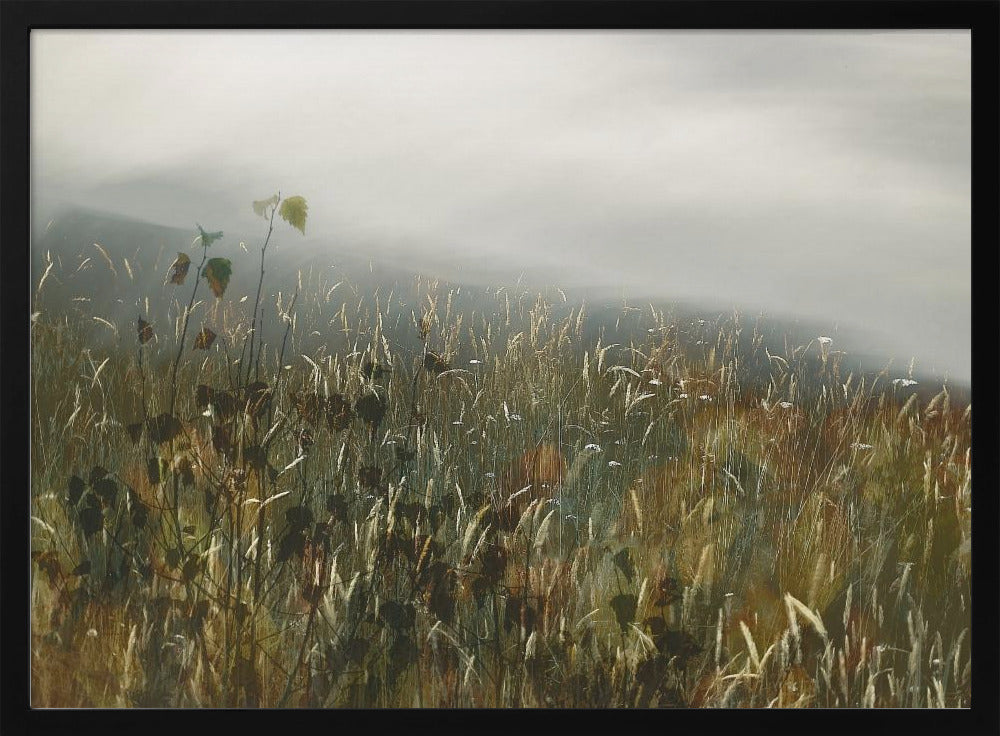 In the field | Poster