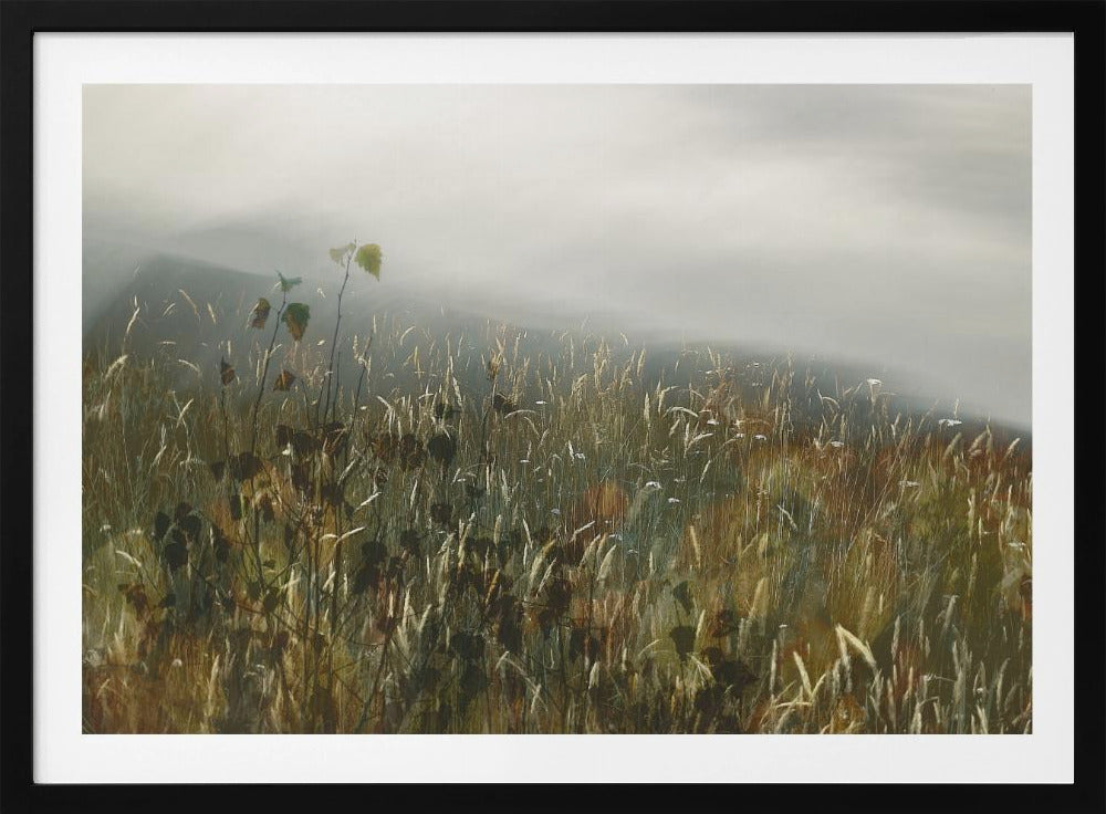 In the field | Poster