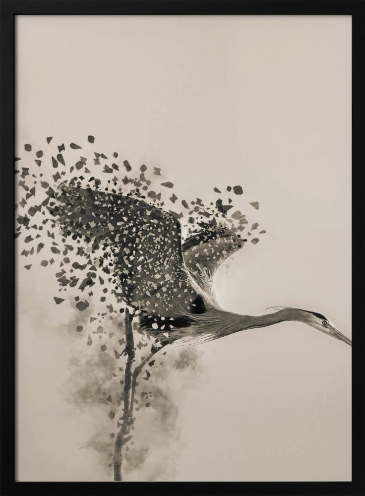 A Blue Heron | Poster