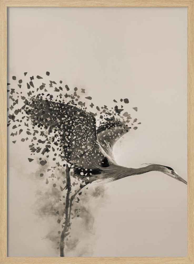 A Blue Heron | Poster