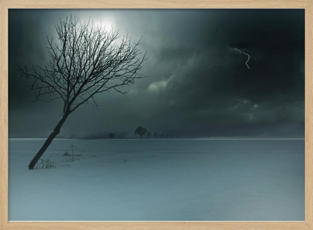 Wintergewitter | Poster