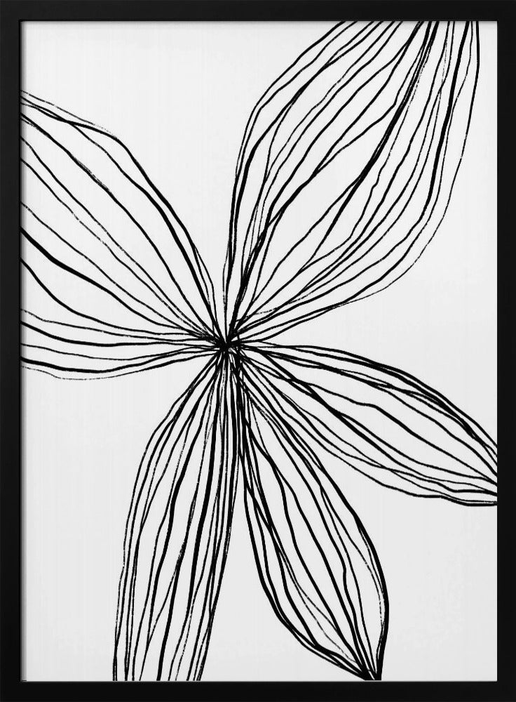 Elegant Petals | Poster