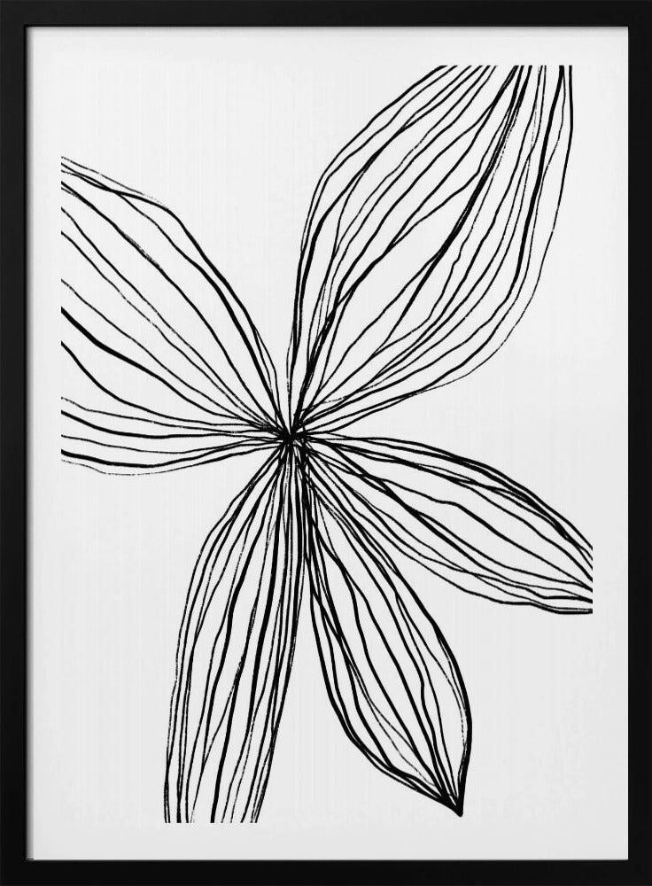 Elegant Petals | Poster
