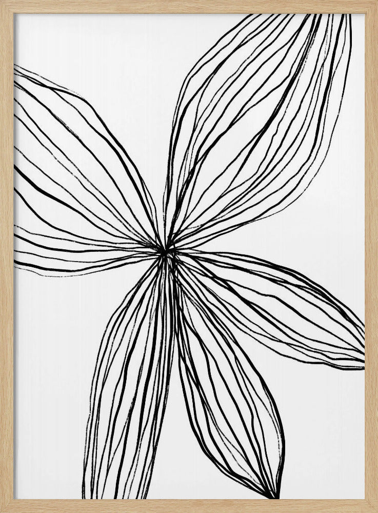 Elegant Petals | Poster