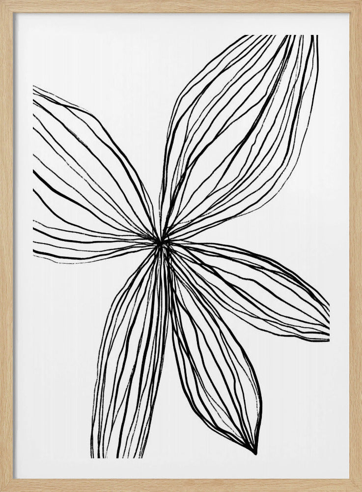 Elegant Petals | Poster