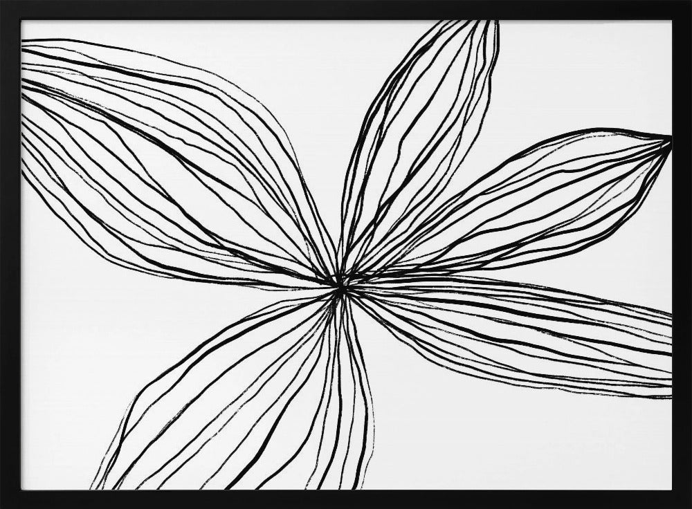 Minimalist Black and White Petals | Poster