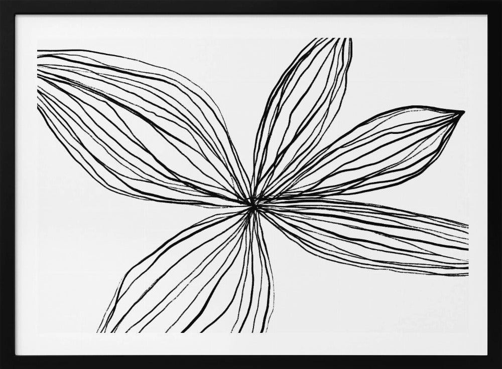 Minimalist Black and White Petals | Poster