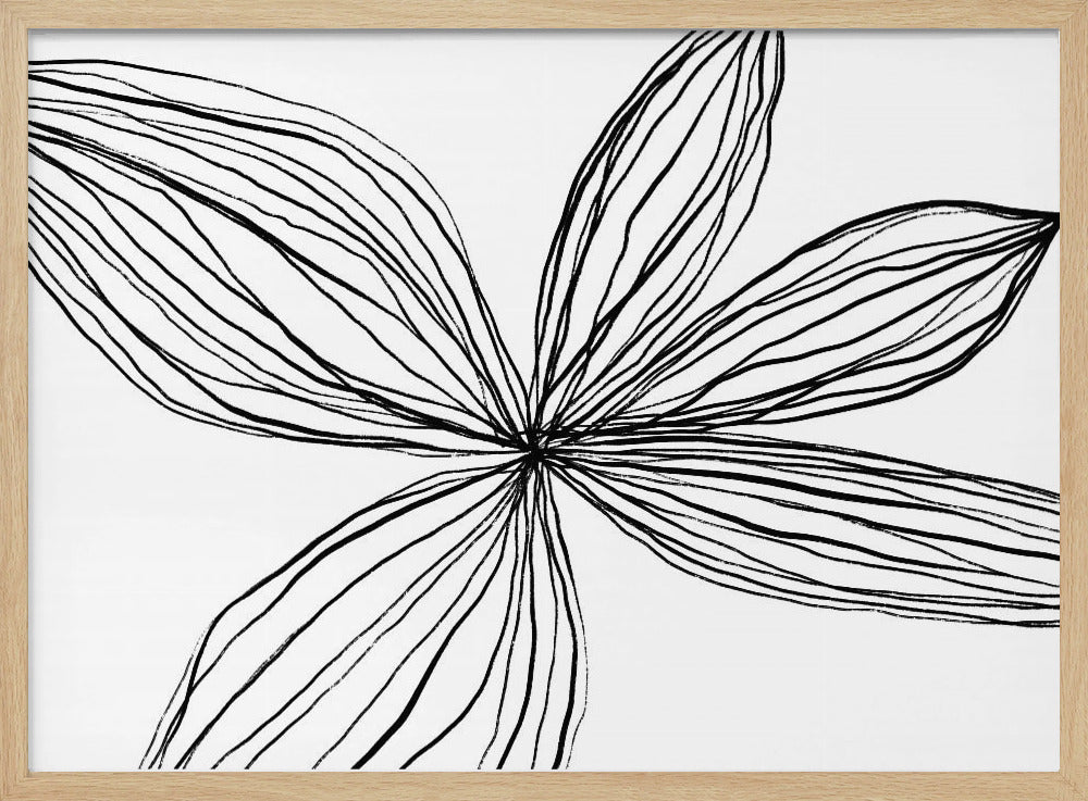 Minimalist Black and White Petals | Poster