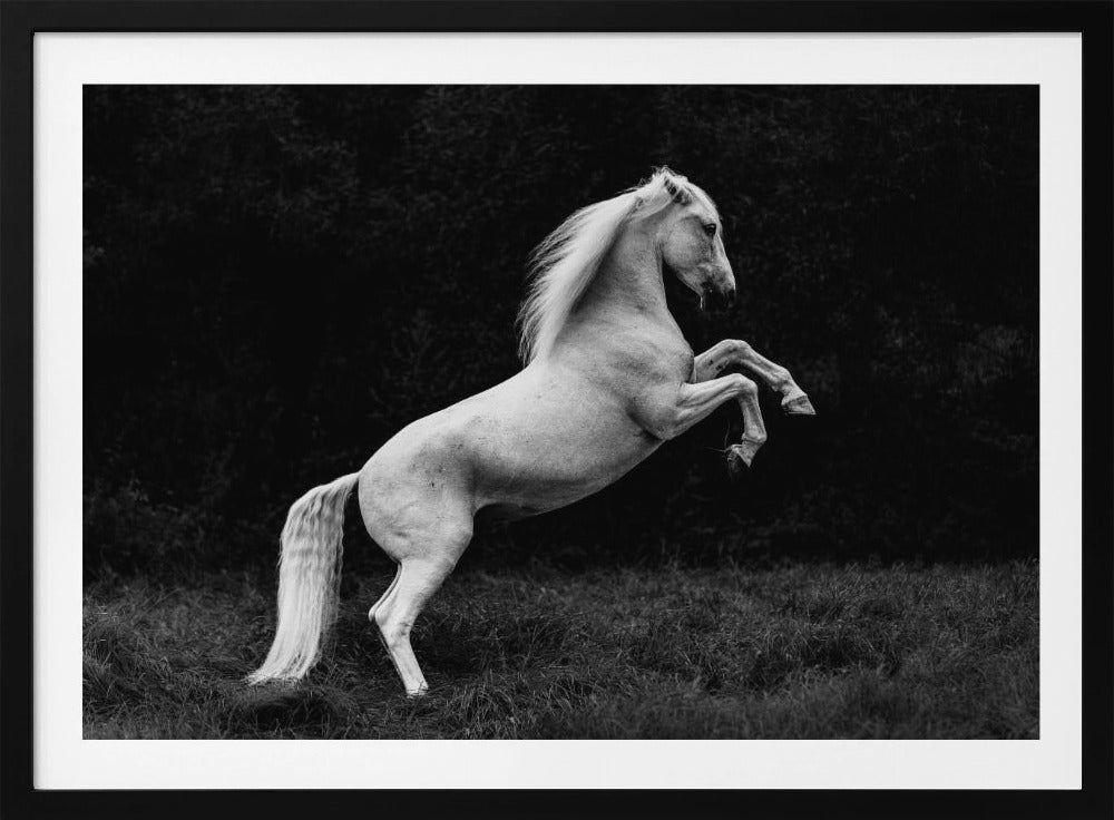 a short story of a blade of grass in a hoof | Poster