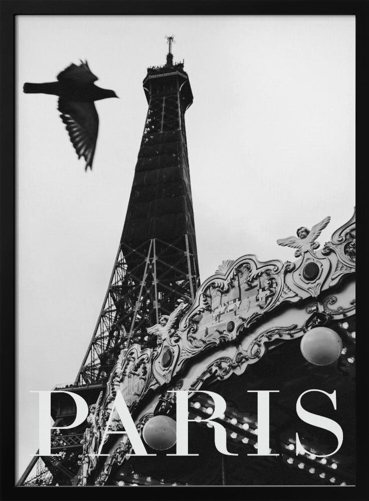 Paris Dove | Poster