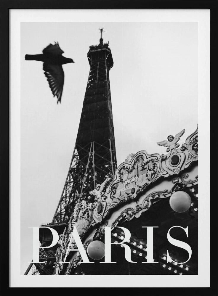 Paris Dove | Poster