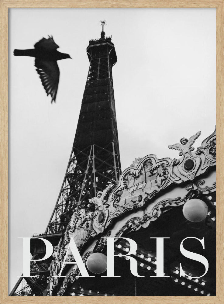 Paris Dove | Poster