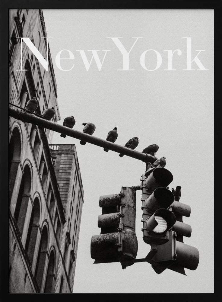 NYC Doves | Poster