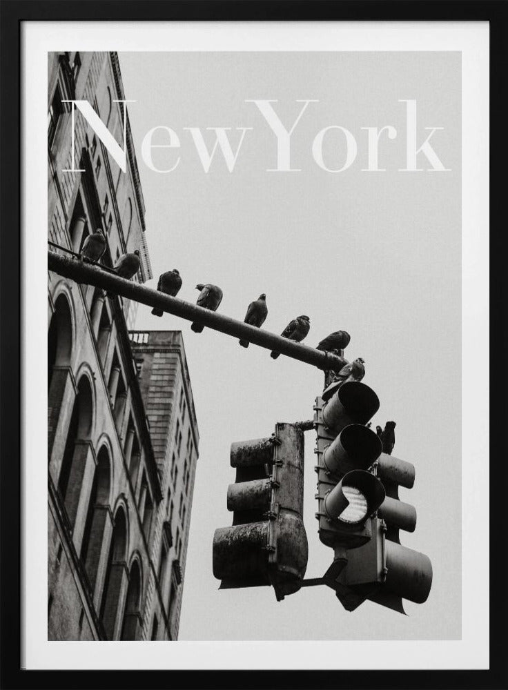 NYC Doves | Poster