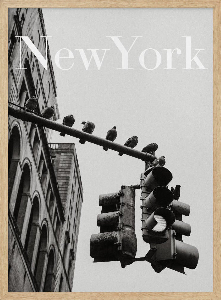 NYC Doves | Poster