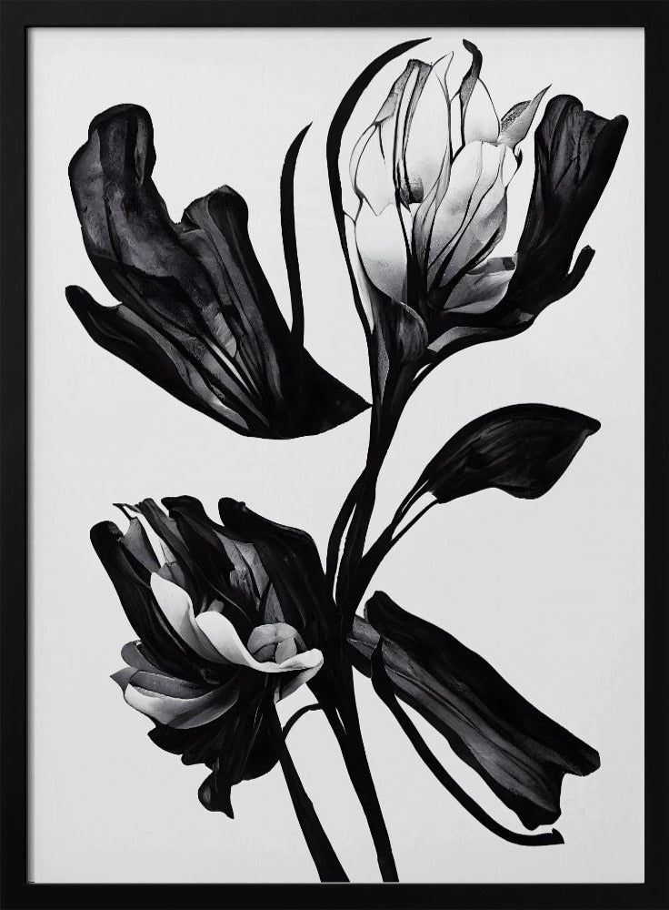 Black Flower | Poster