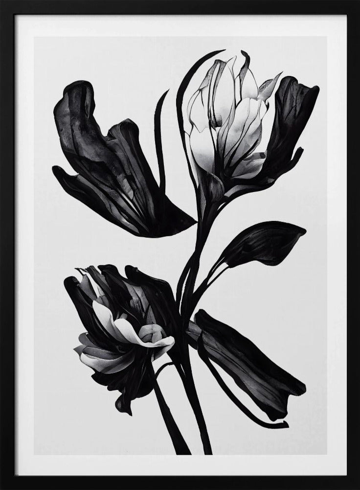 Black Flower | Poster
