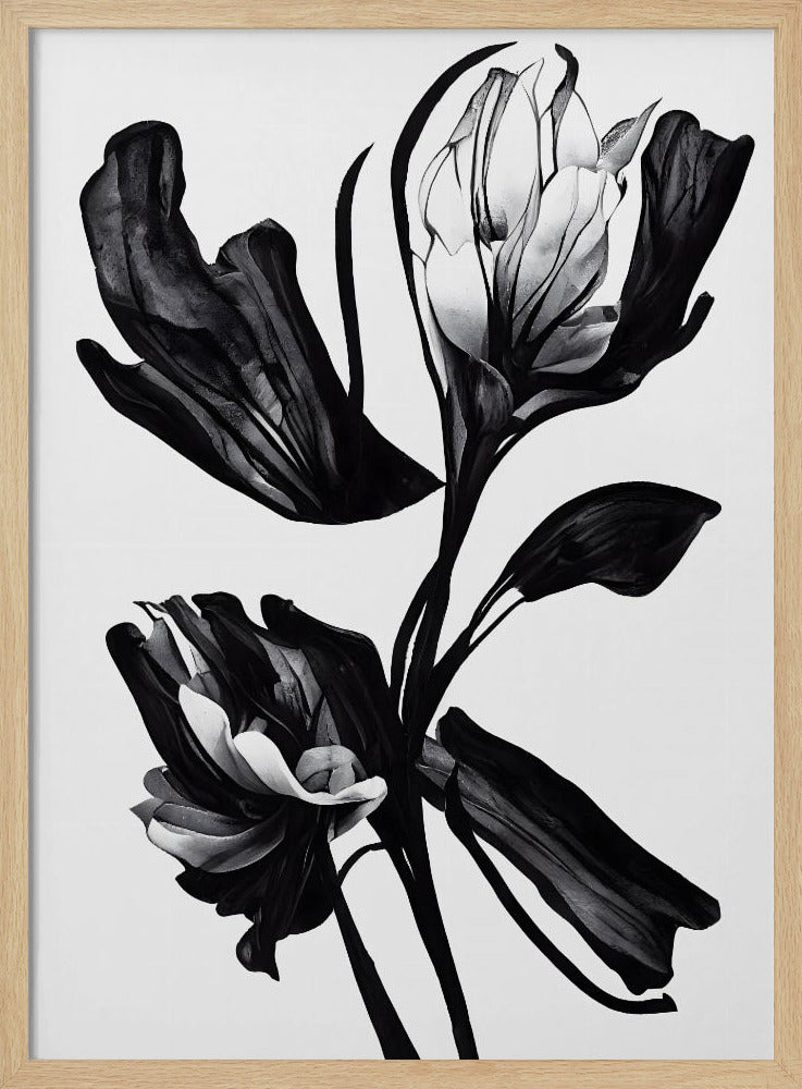 Black Flower | Poster