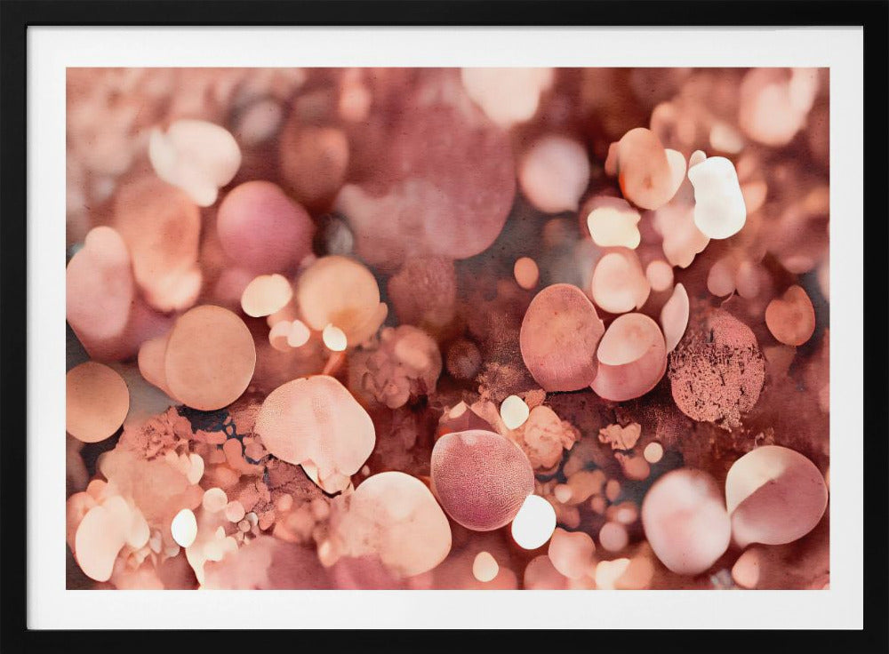 Blush Bokeh Dream | Poster
