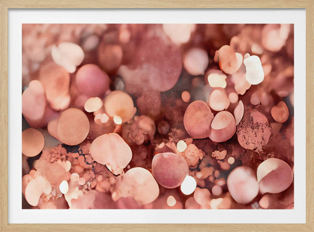 Blush Bokeh Dream | Poster