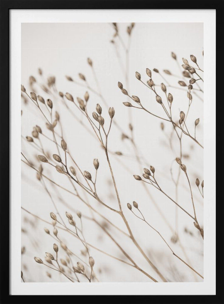 Wild Grass | Poster