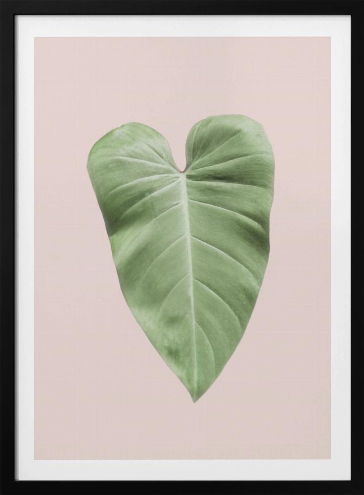 Tropical Leaf Blush | Poster