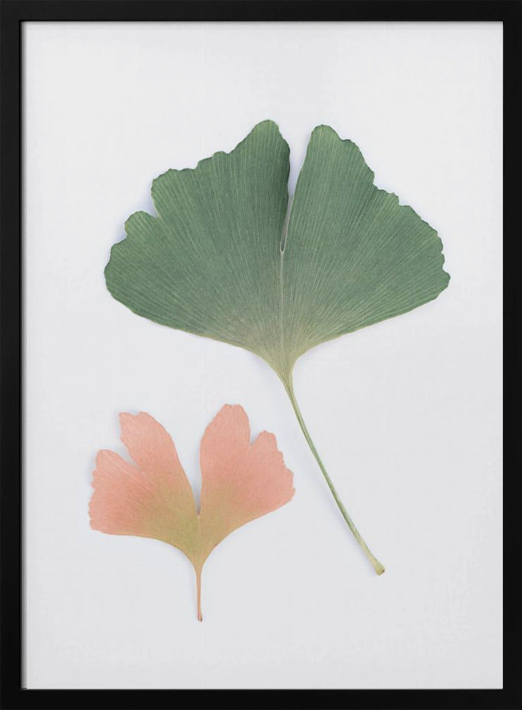 Pastel Ginkgo | Poster