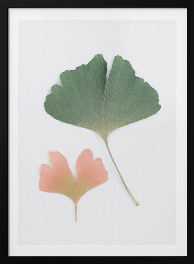 Pastel Ginkgo | Poster