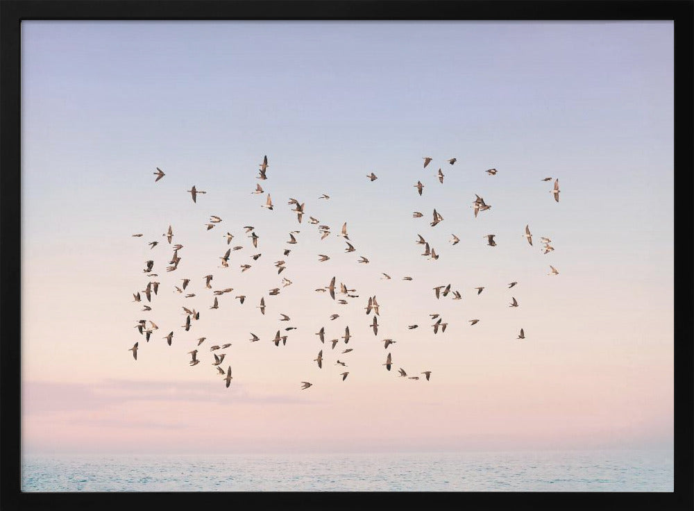 Sunset Flight | Poster