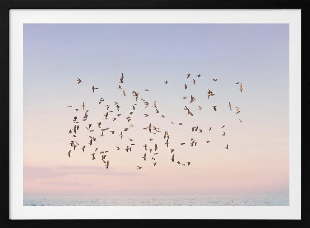 Sunset Flight | Poster