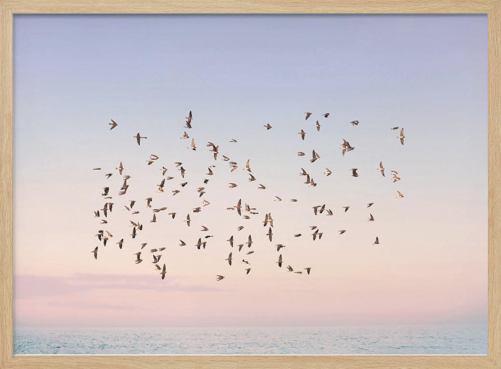 Sunset Flight | Poster