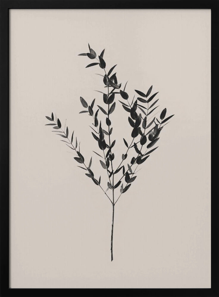 Inky Botanical | Poster
