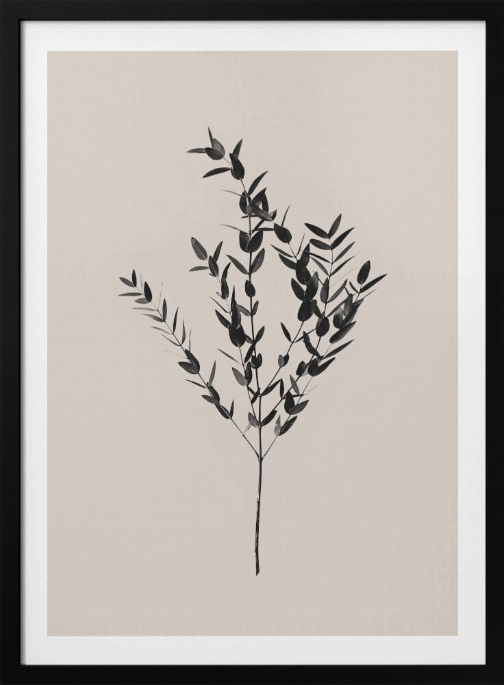 Inky Botanical | Poster