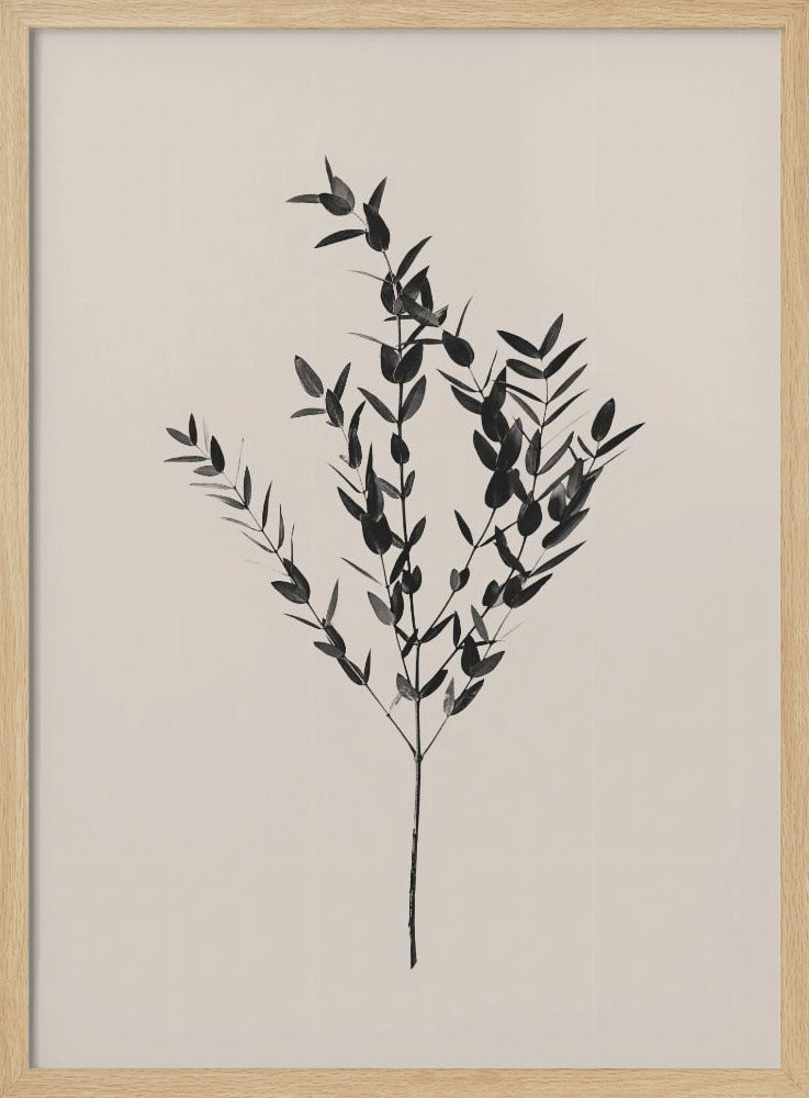Inky Botanical | Poster