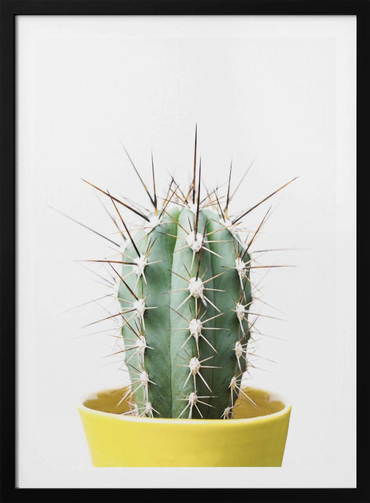 Spikey Cactus | Poster
