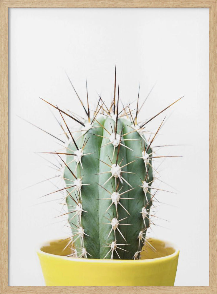 Spikey Cactus | Poster