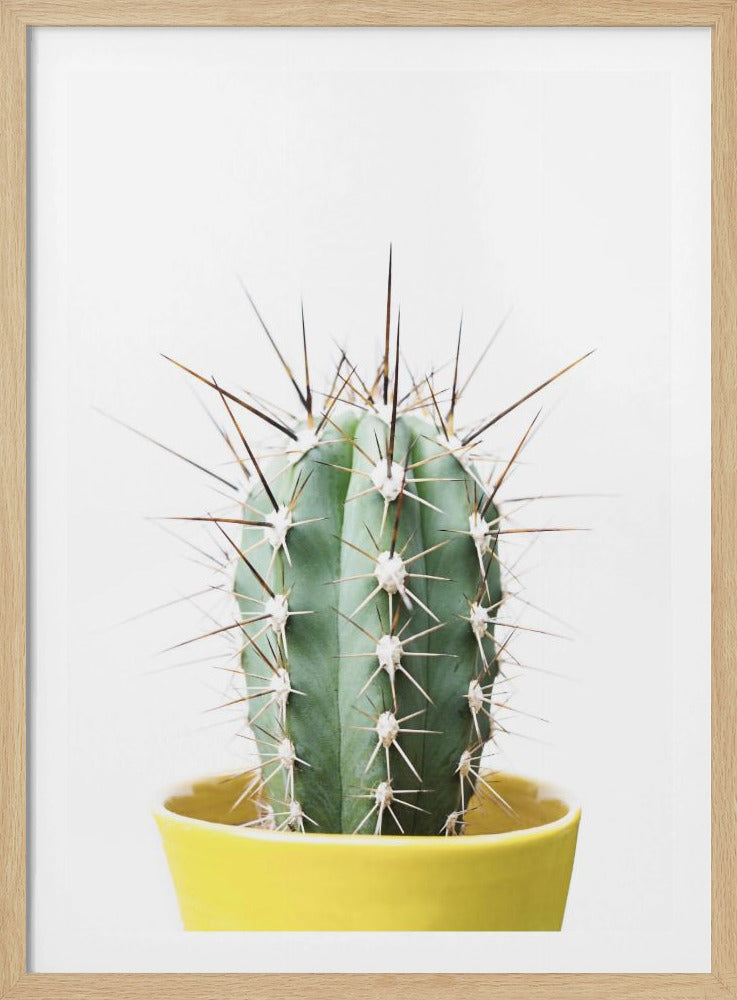 Spikey Cactus | Poster