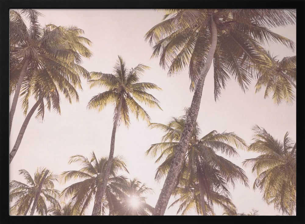 Blush Palm Trees | Poster
