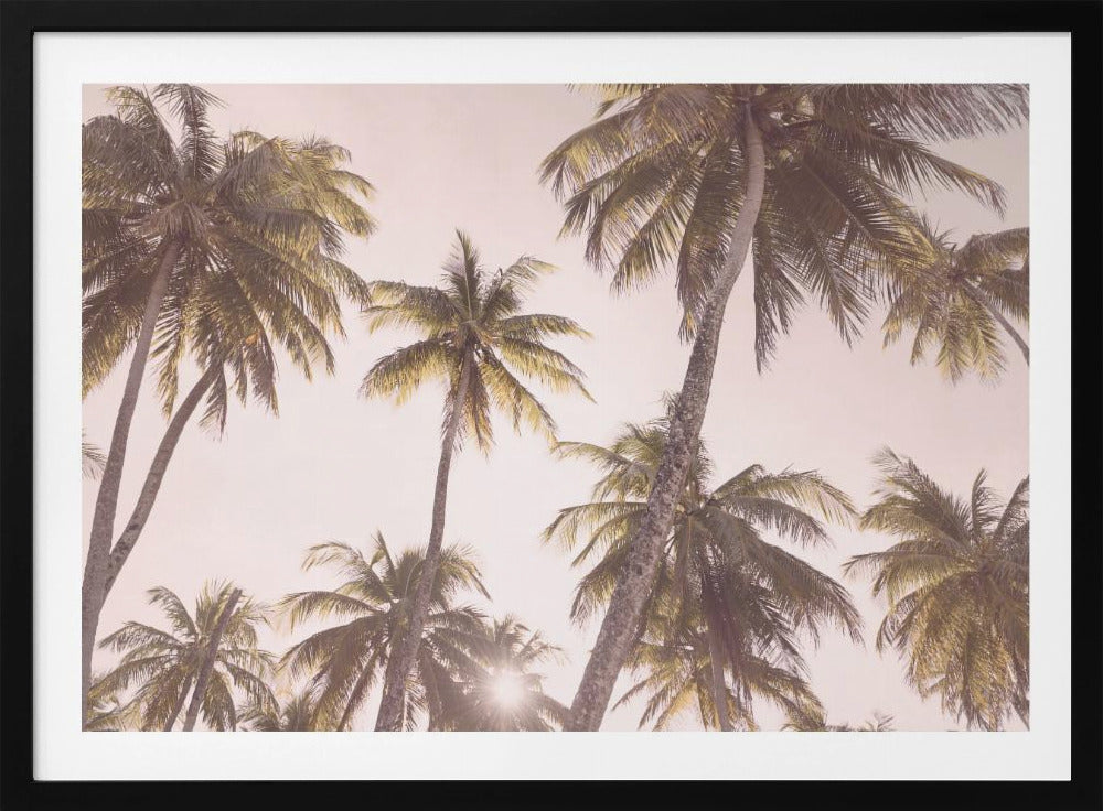 Blush Palm Trees | Poster