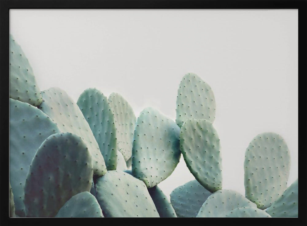 Pastel Cactus | Poster