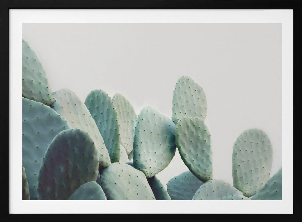 Pastel Cactus | Poster