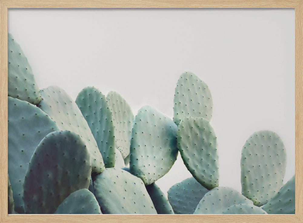 Pastel Cactus | Poster